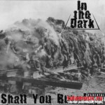 In The Dark / Shall You Burn / 2010 (Single)